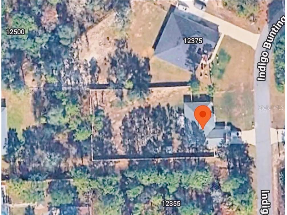 12365 Indigo Bunting Road Weeki Wachee FL 34614 TB8477154 image39