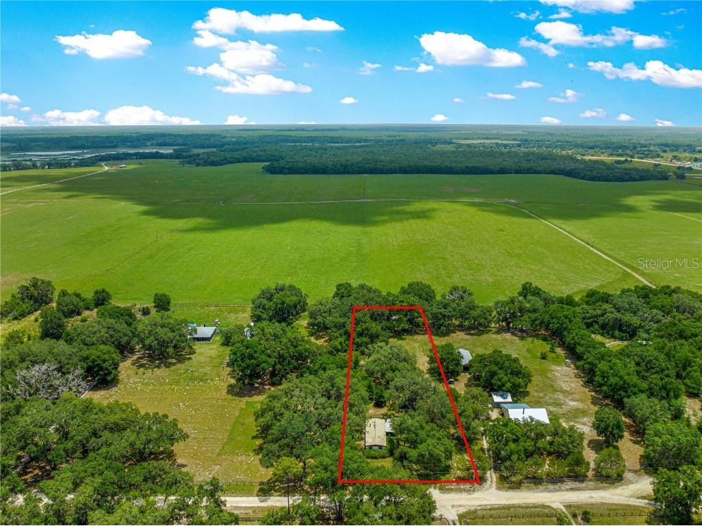 12365 NE 45th Terrace Anthony FL 32617 OM703307 image1