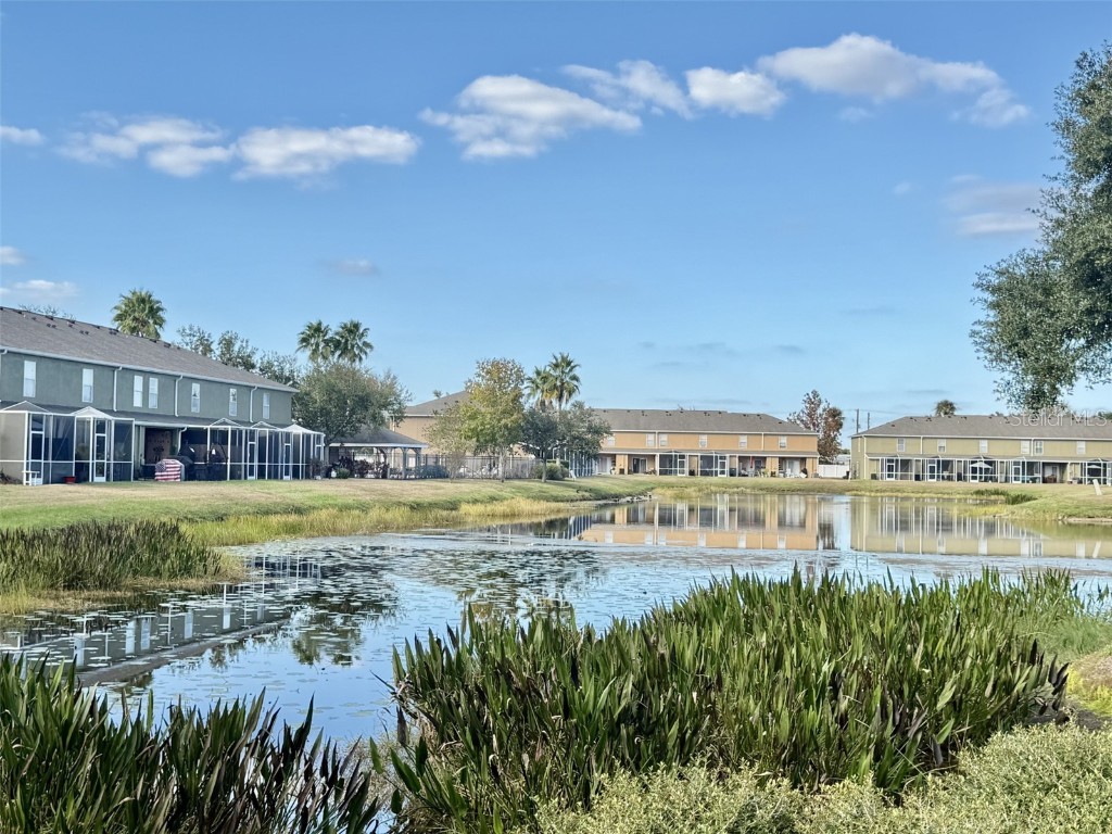 12366 Foxmoor Peak Drive Riverview FL 33579 TB8446265 image10