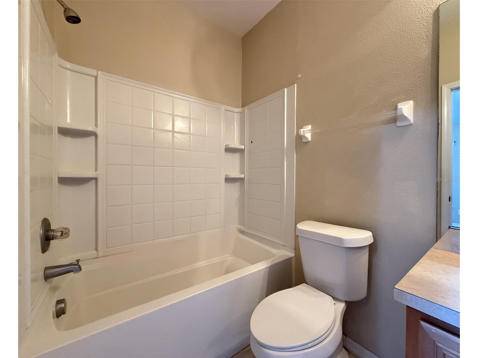 12366 Foxmoor Peak Drive Riverview FL 33579 TB8446265 image13