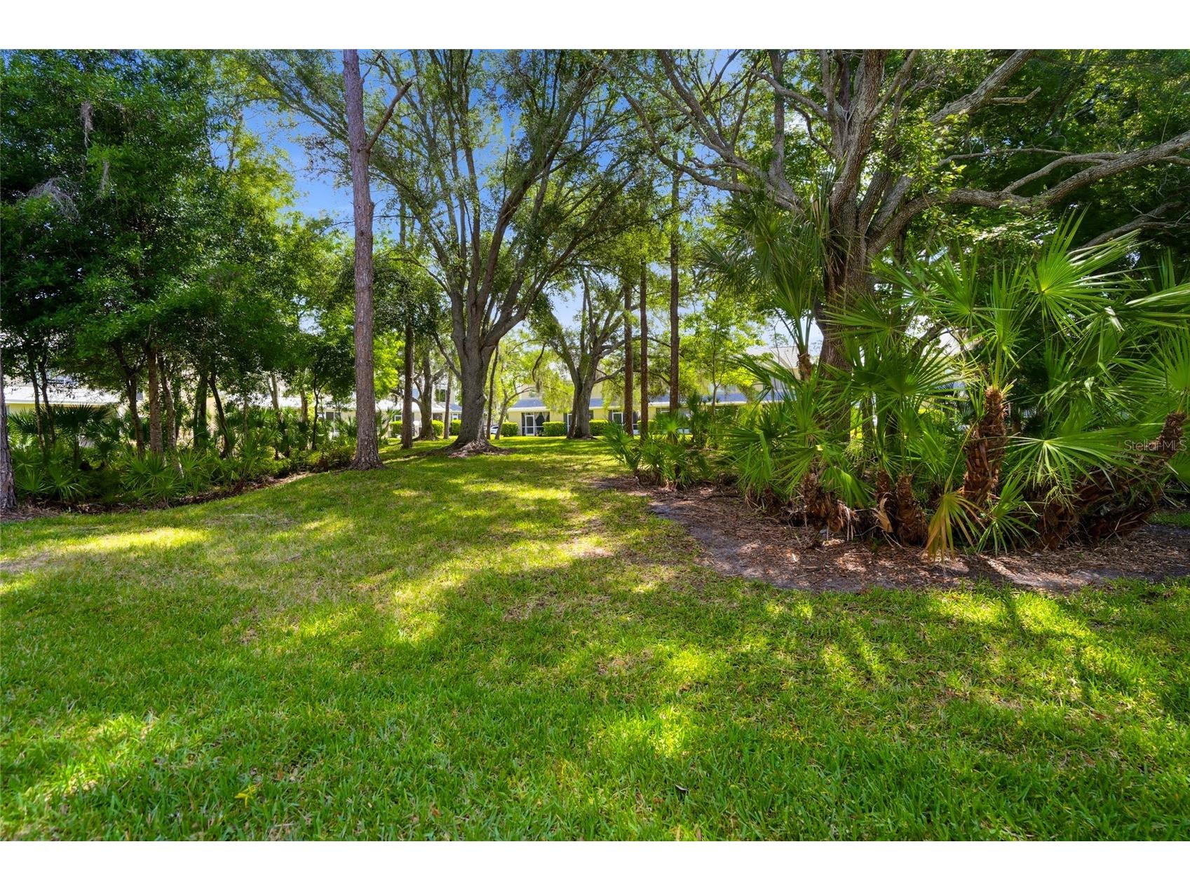12367 Berkeley Square Drive Tampa FL 33626 TB8500918 image27