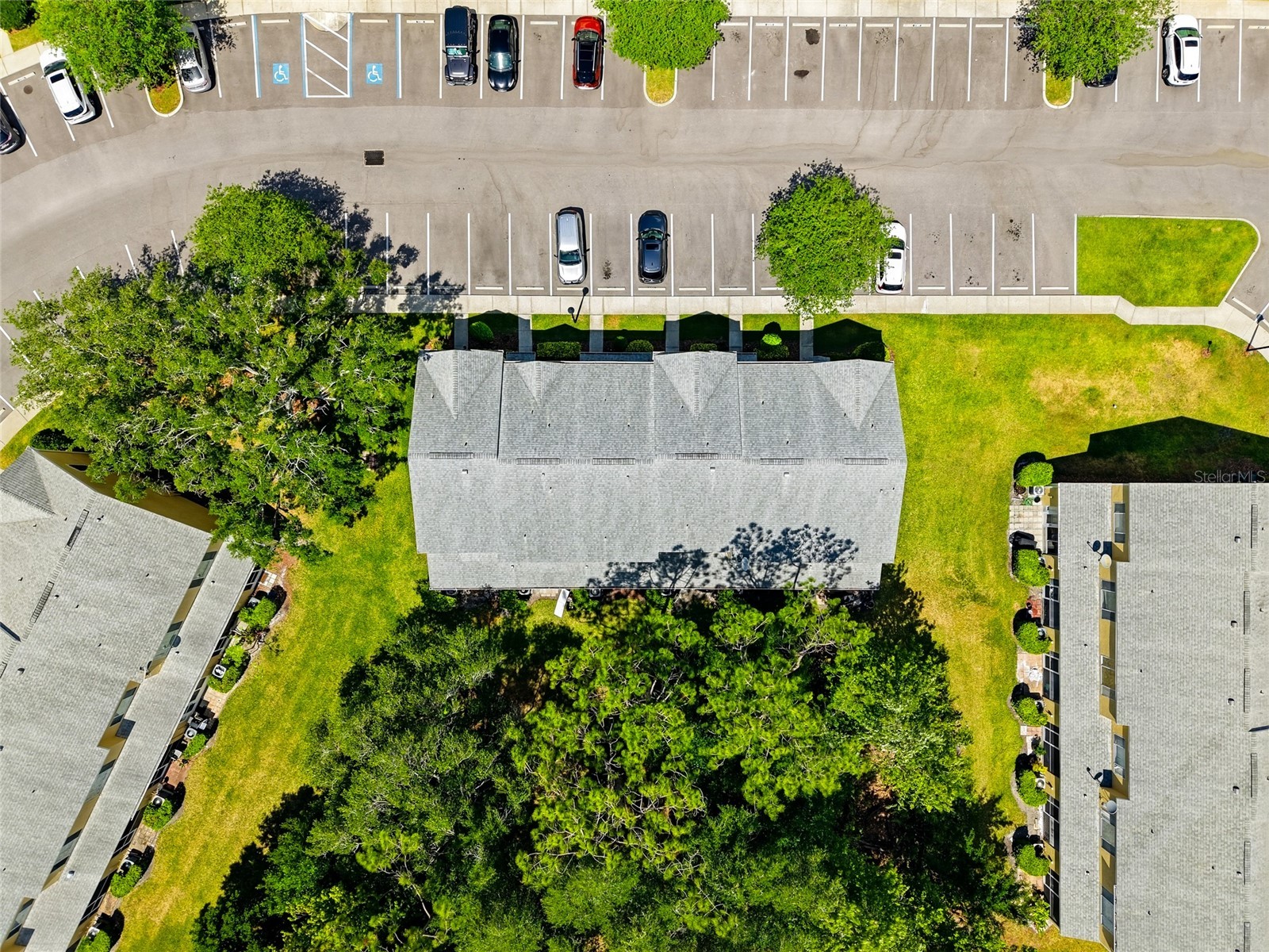 12367 Berkeley Square Drive Tampa FL 33626 TB8500918 image28