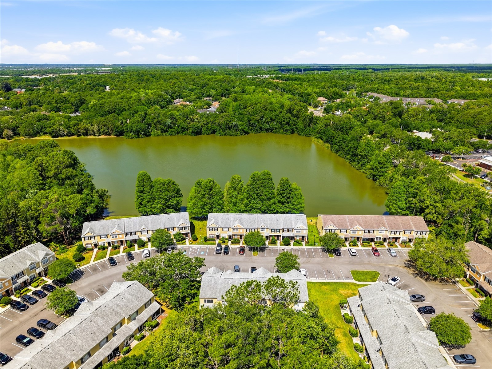12367 Berkeley Square Drive Tampa FL 33626 TB8500918 image29