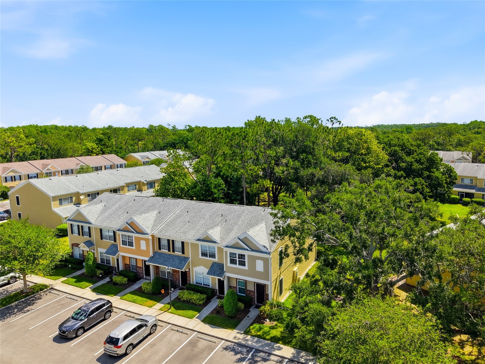 12367 Berkeley Square Drive Tampa FL 33626 TB8500918 image30