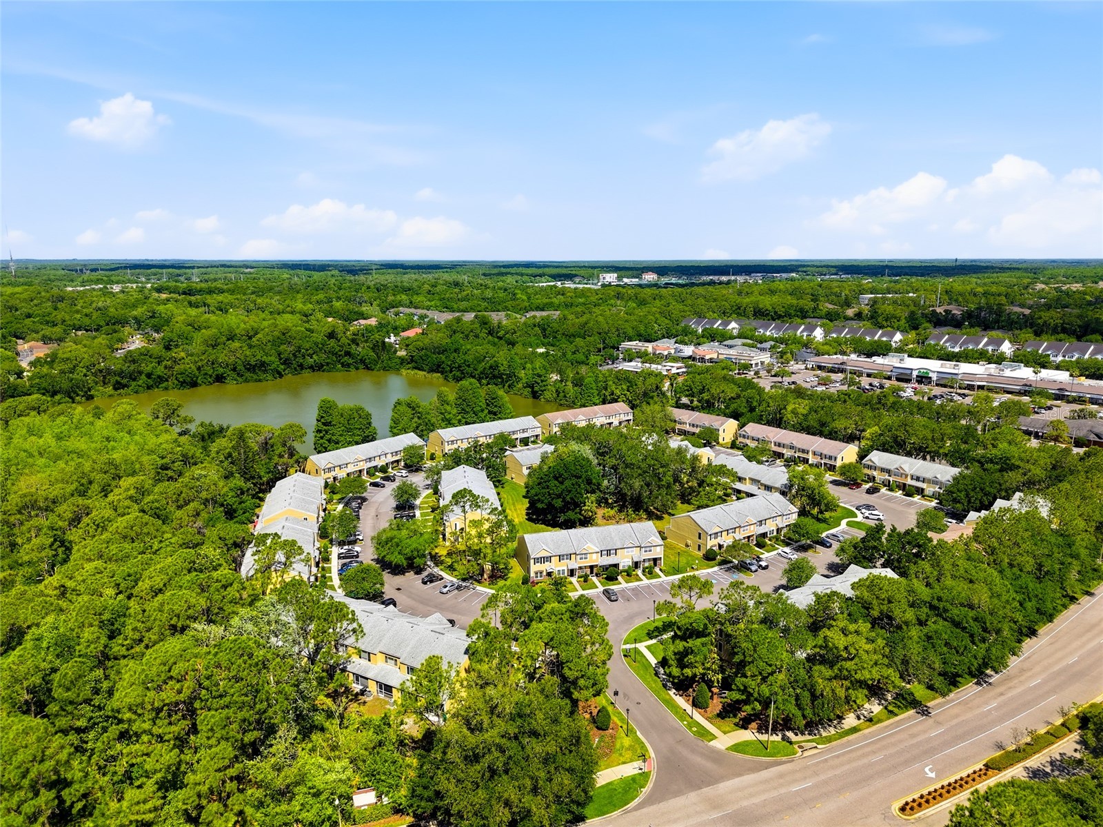 12367 Berkeley Square Drive Tampa FL 33626 TB8500918 image31