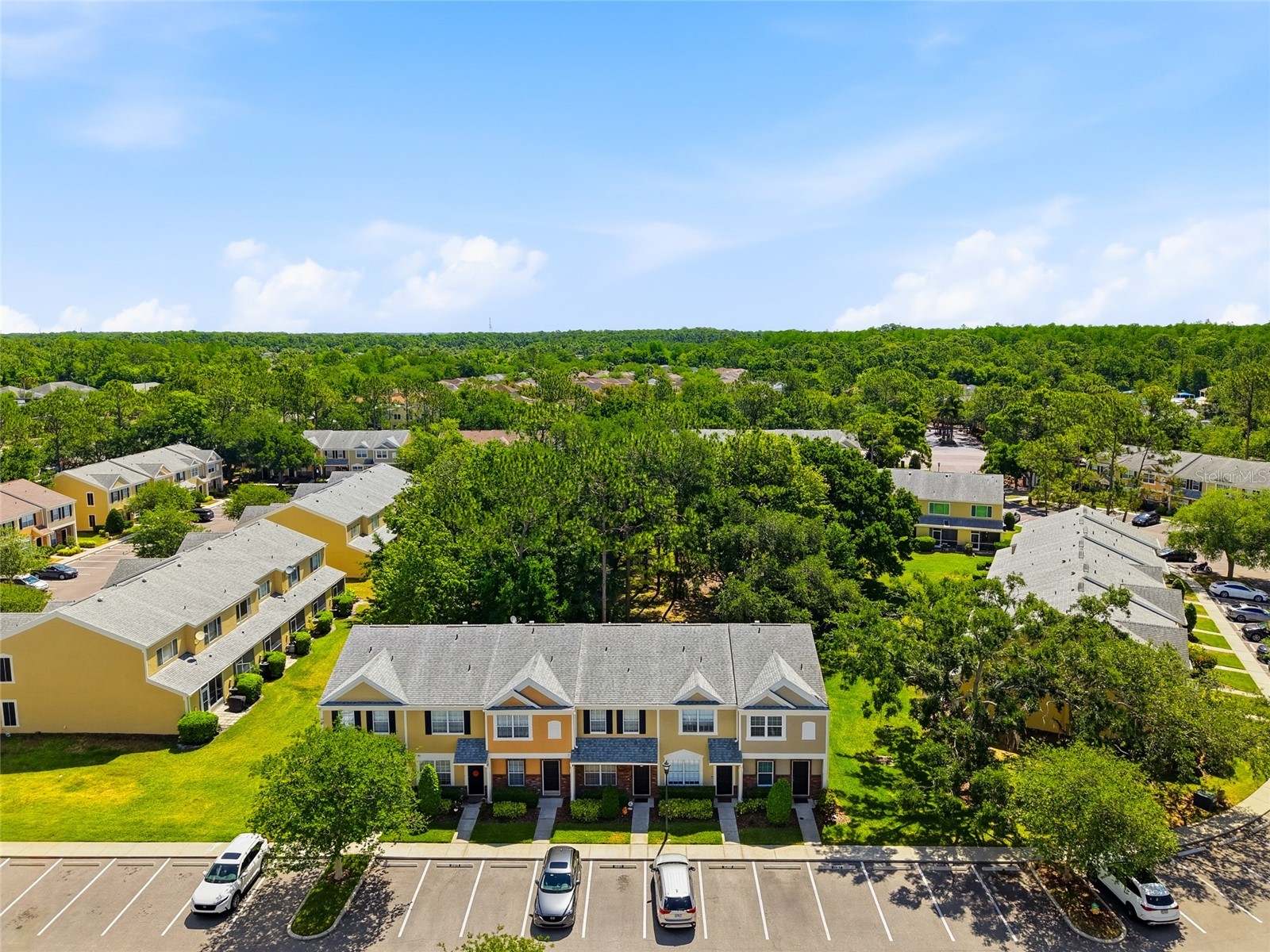 12367 Berkeley Square Drive Tampa FL 33626 TB8500918 image4