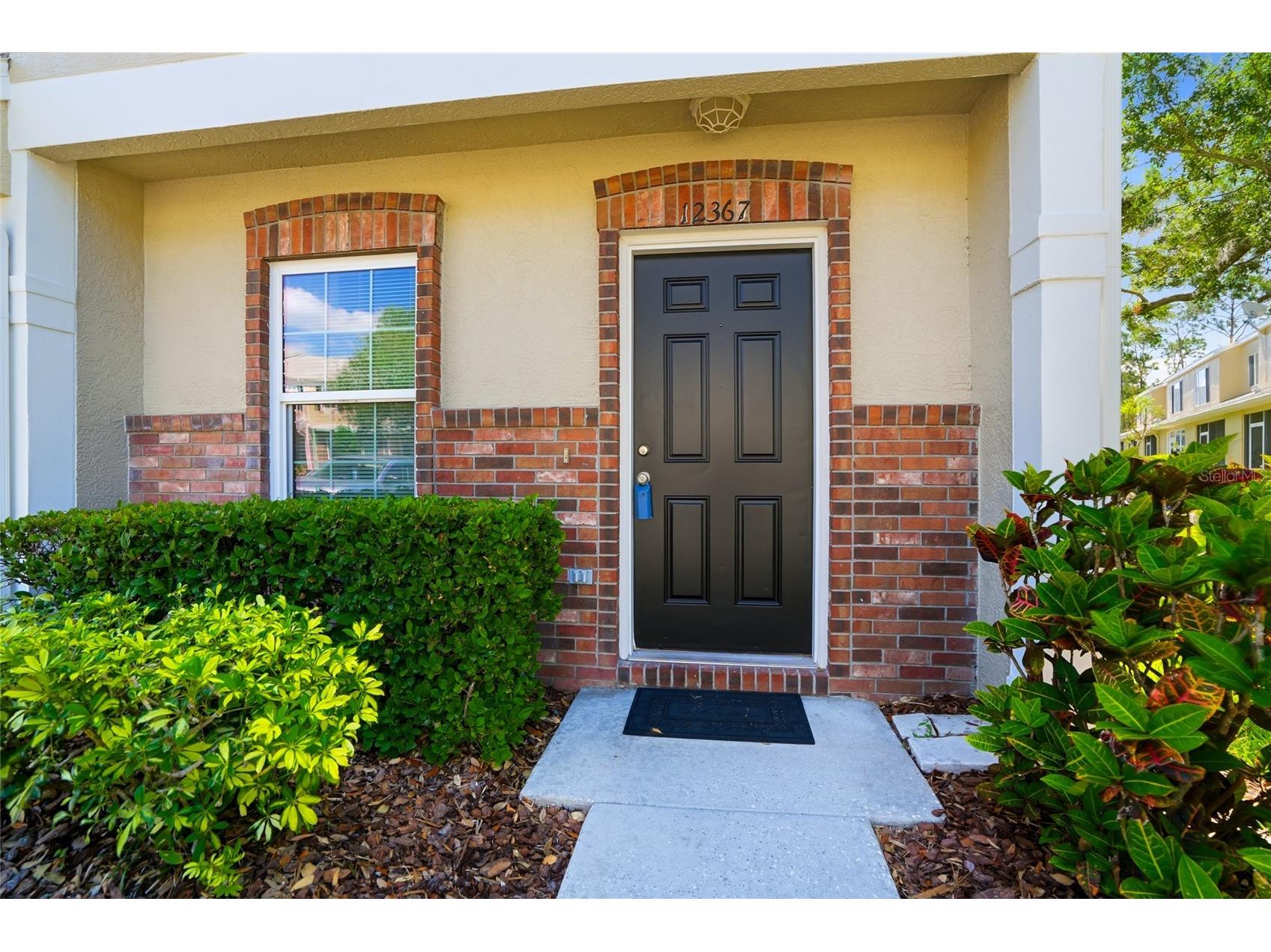 12367 Berkeley Square Drive Tampa FL 33626 TB8500918 image6