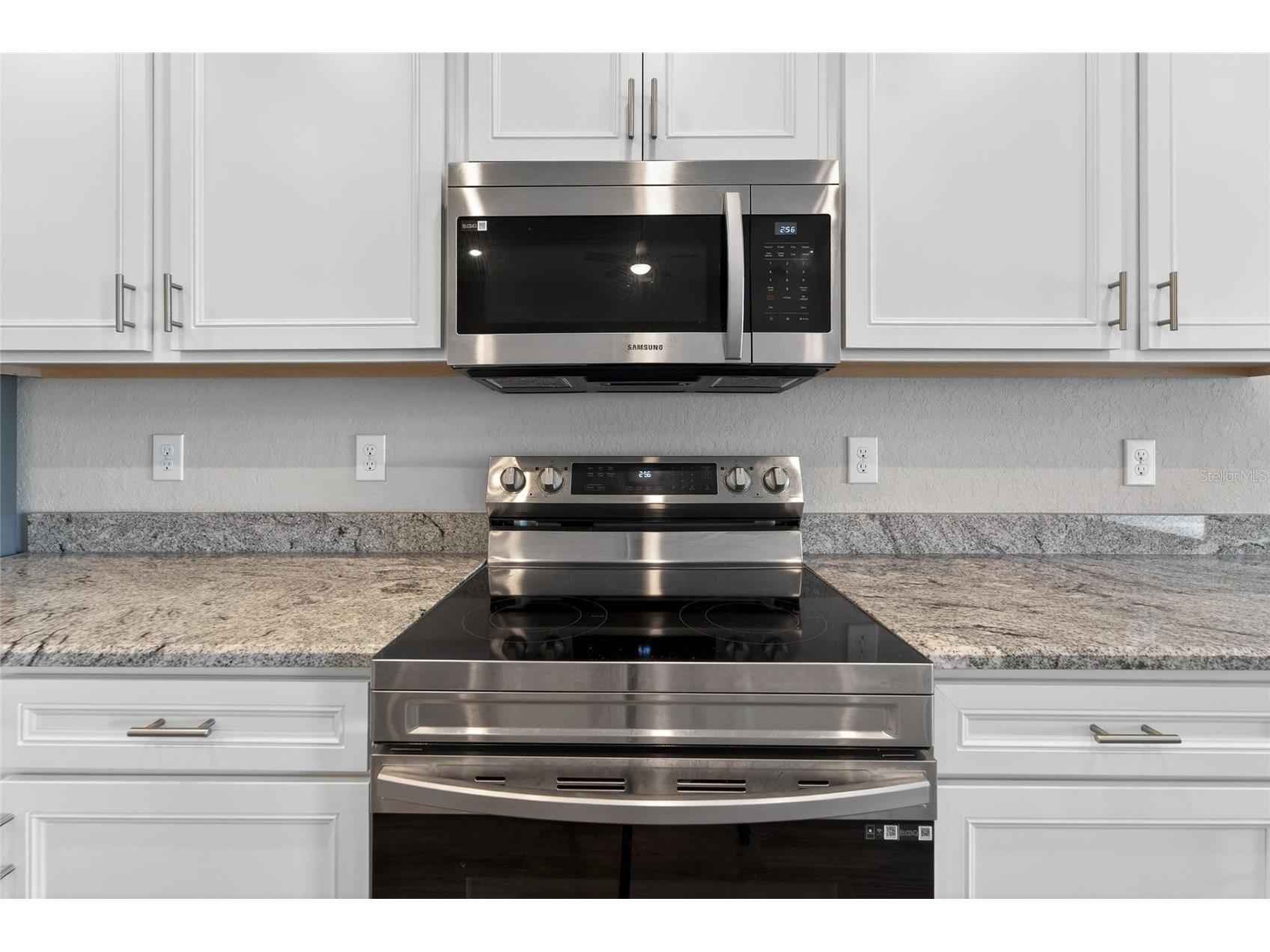 12367 Marshland Street Riverview FL 33579 TB8482830 image21