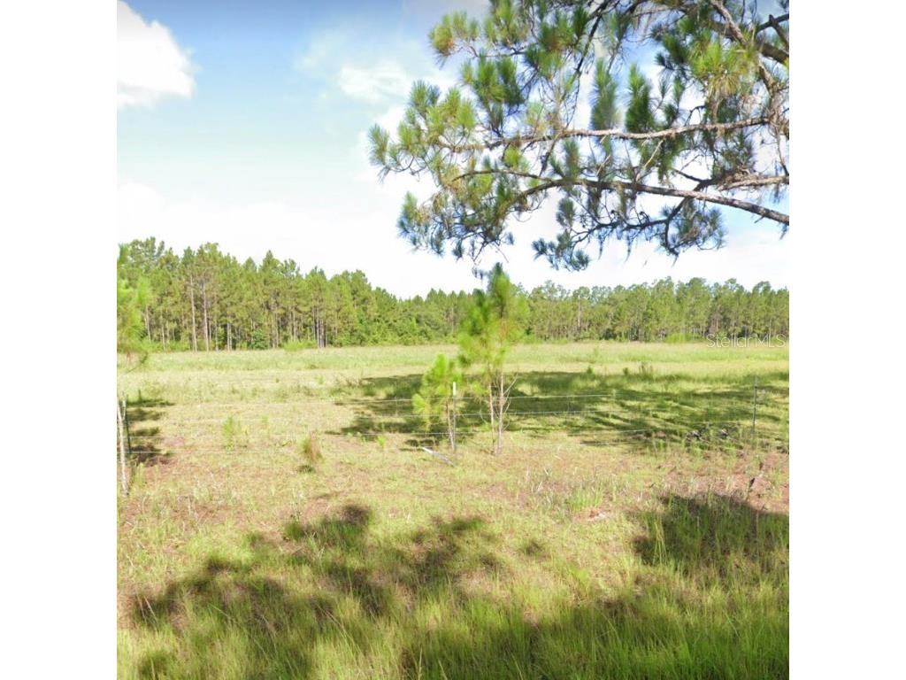 12367 Sweet Hill Road Polk City FL 33868 O6263412 image1