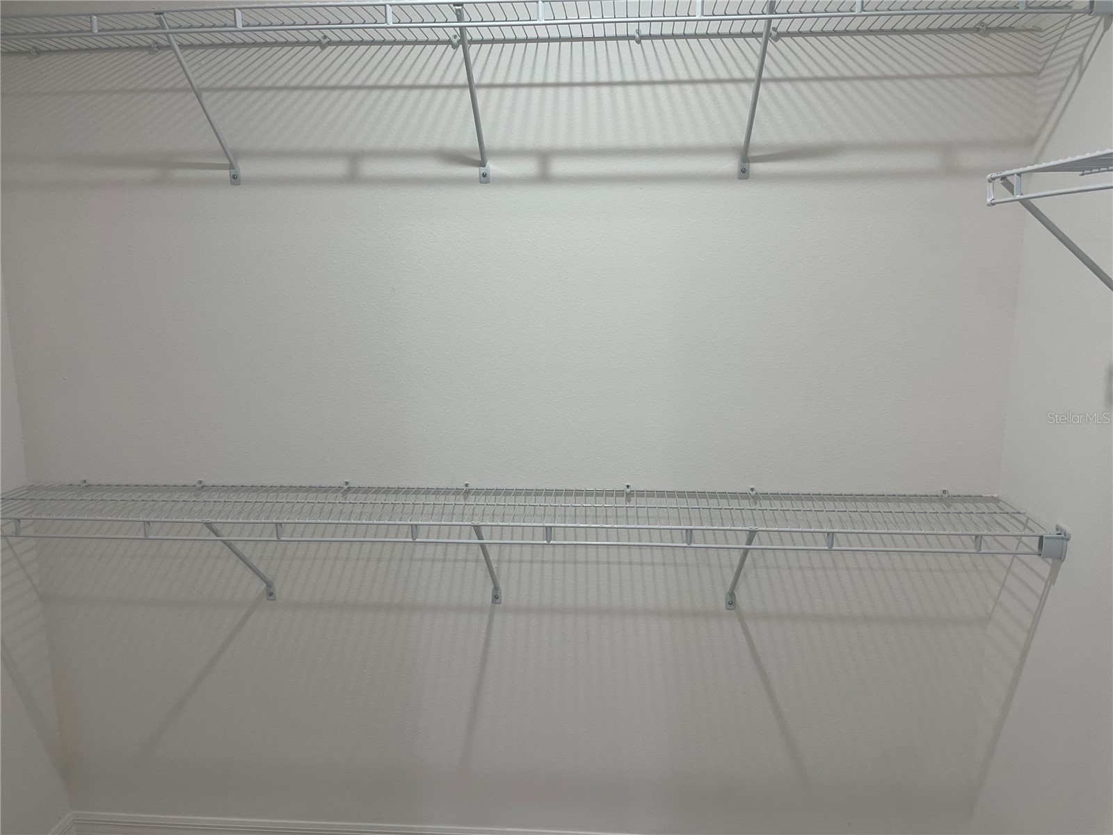 12368 Piping Plover Avenue Weeki Wachee FL 34614 O6323407 image15