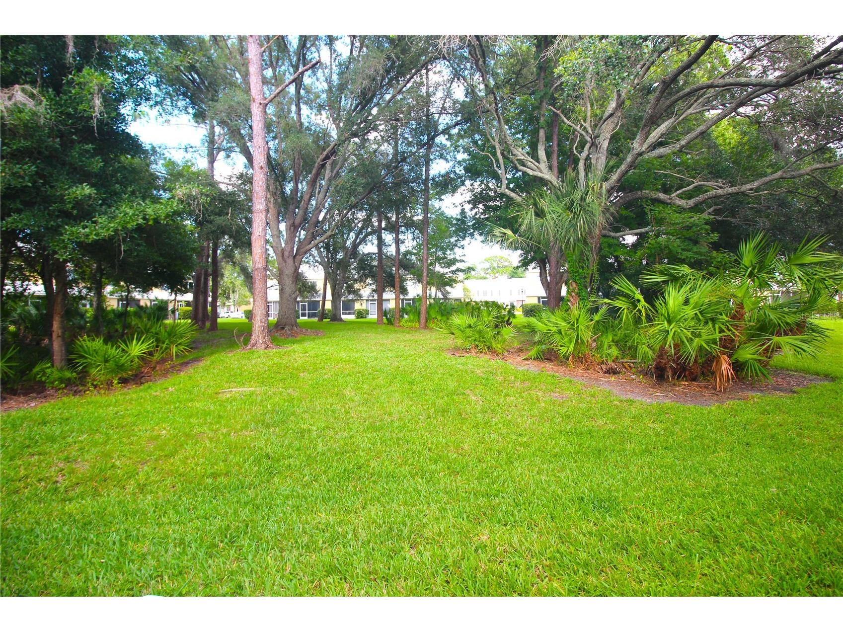 12369 Berkeley Square Drive Tampa FL 33626 TB8516276 image11