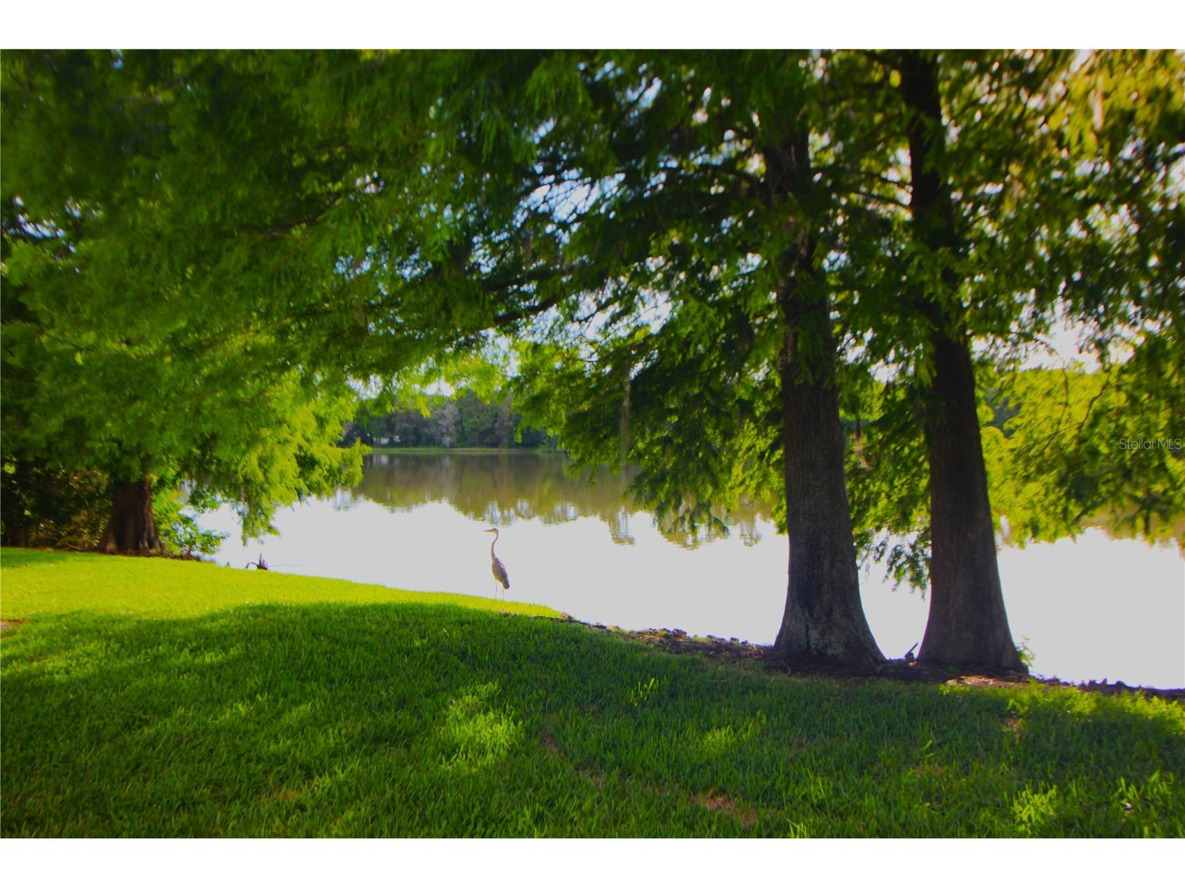12369 Berkeley Square Drive Tampa FL 33626 TB8516276 image23