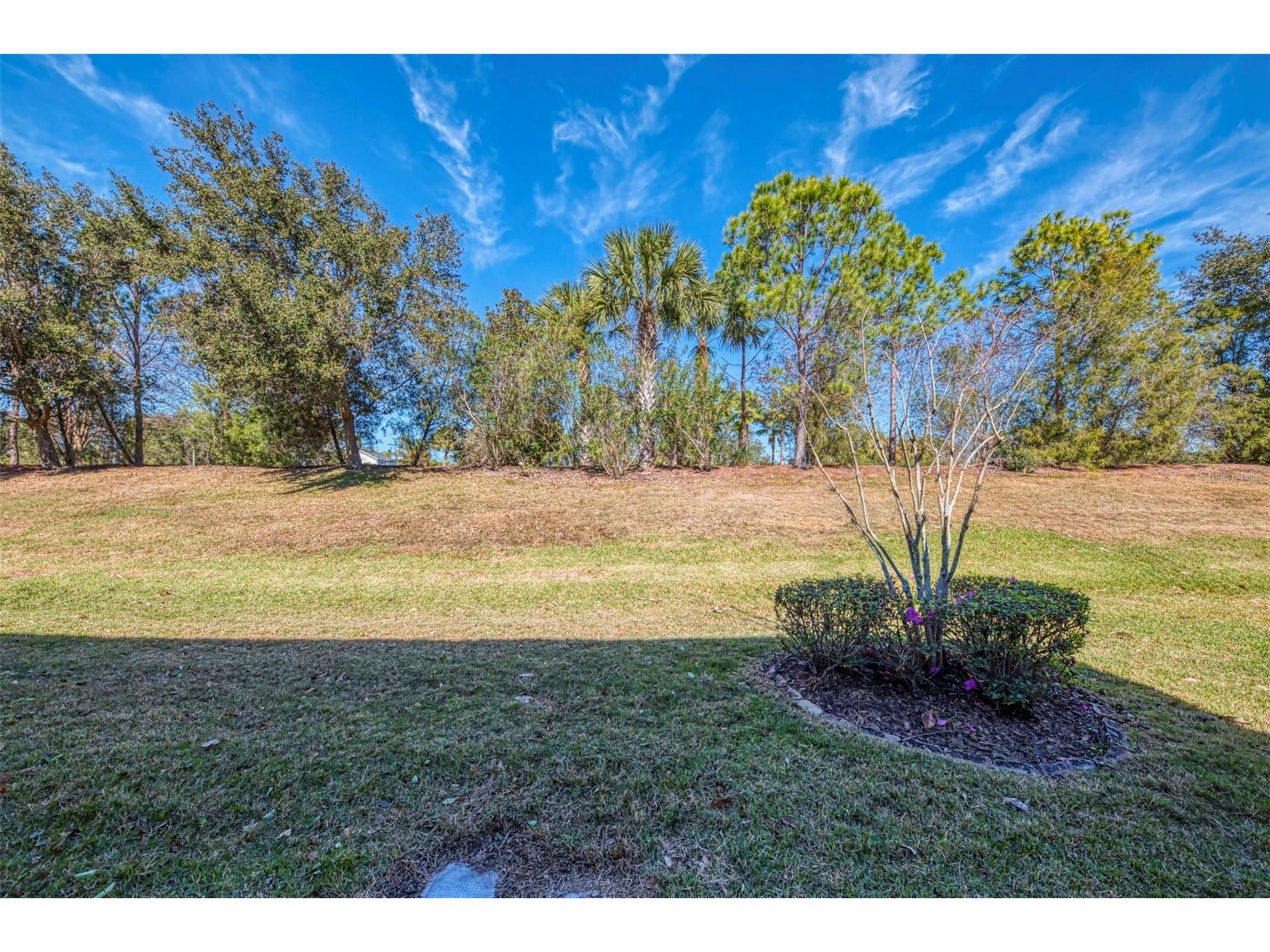 12369 Trailhead Drive Bradenton FL 34211 A4681410 image46