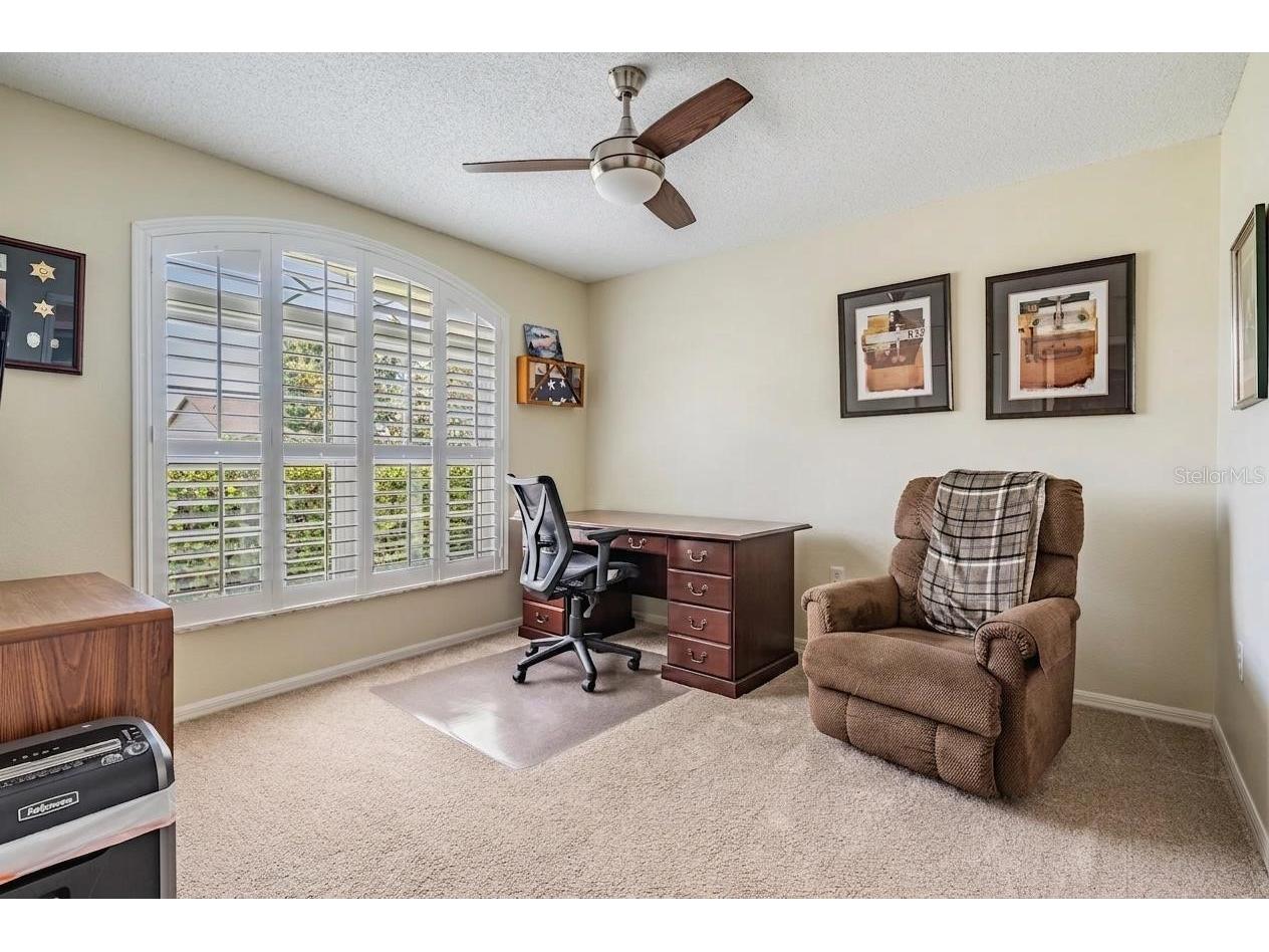 1237 Almondwood Drive Trinity FL 34655 TB8503097 image19