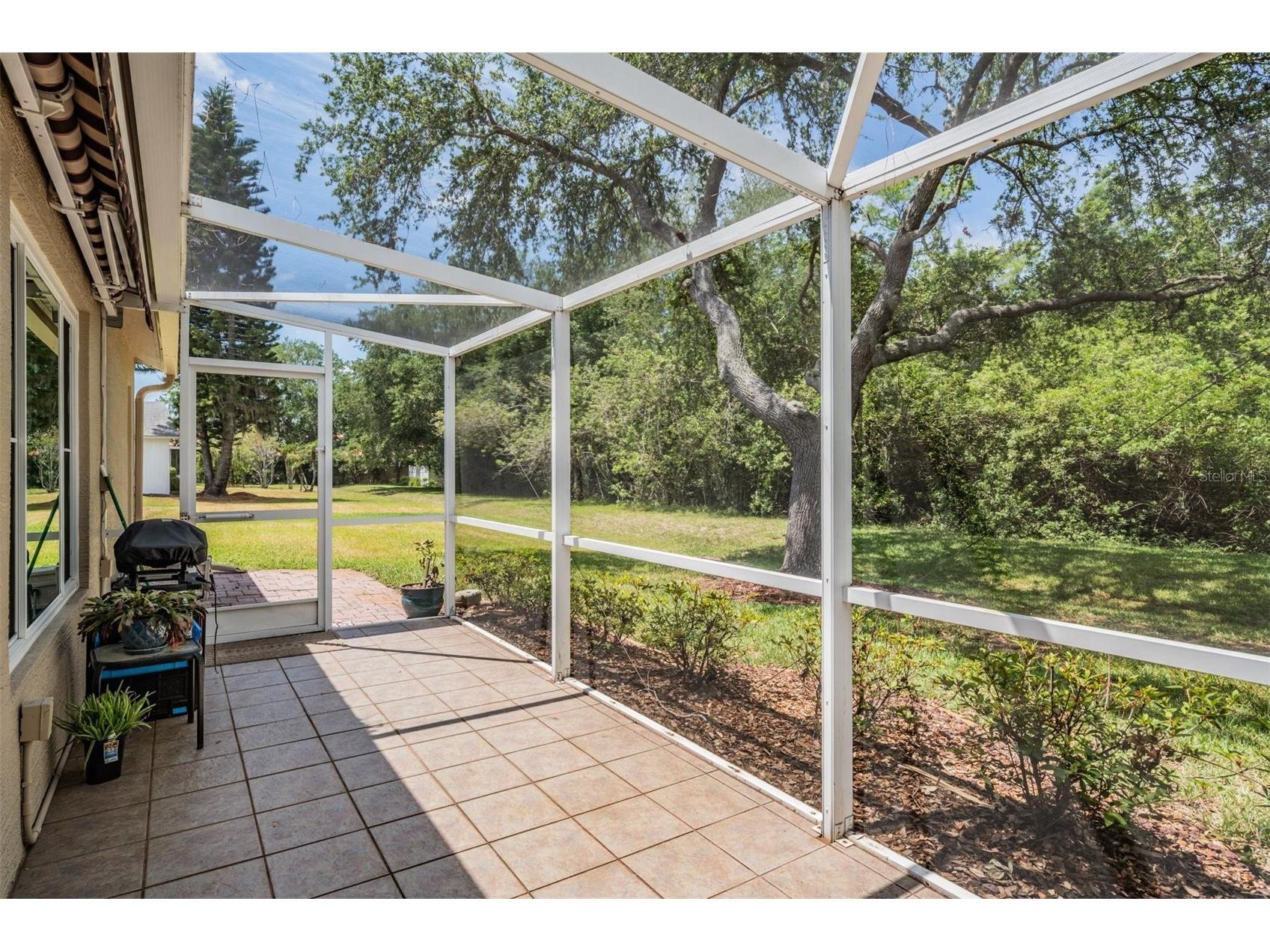 1237 Almondwood Drive Trinity FL 34655 TB8503097 image21