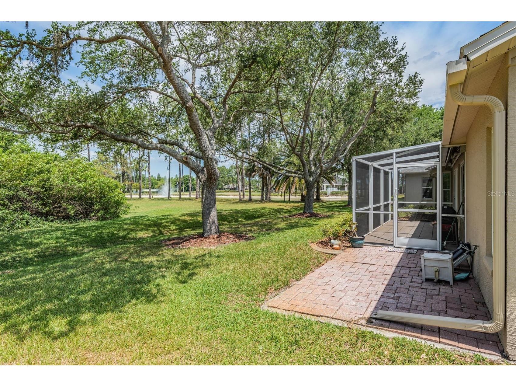 1237 Almondwood Drive Trinity FL 34655 TB8503097 image22
