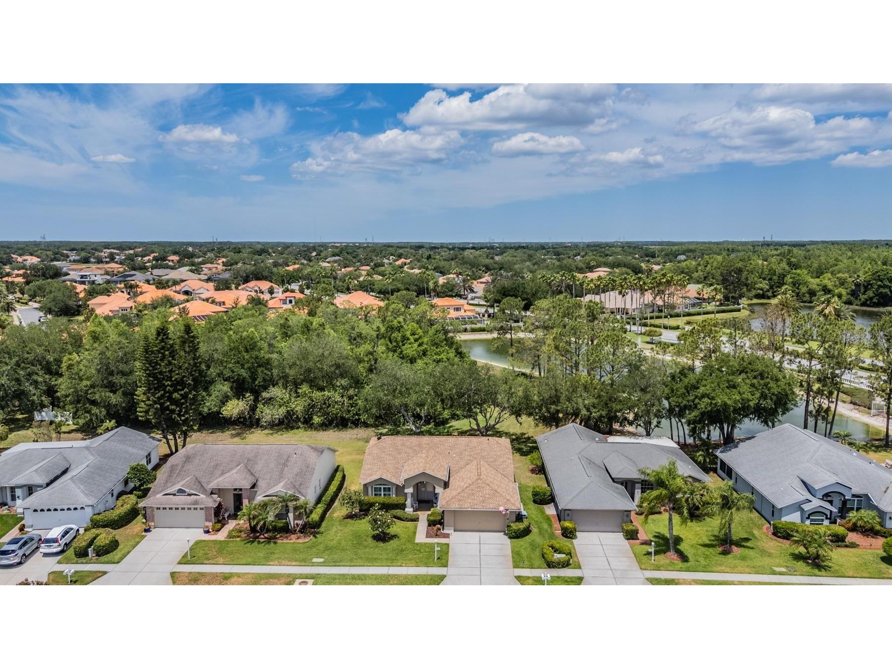 1237 Almondwood Drive Trinity FL 34655 TB8503097 image24