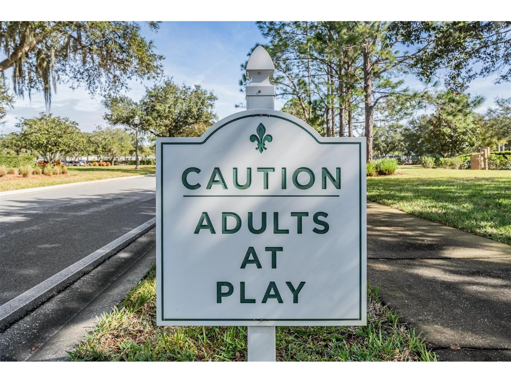 1237 Almondwood Drive Trinity FL 34655 TB8503097 image25
