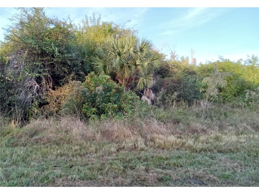 1237 Birchcrest Boulevard Port Charlotte FL 33952 O6169924 image1