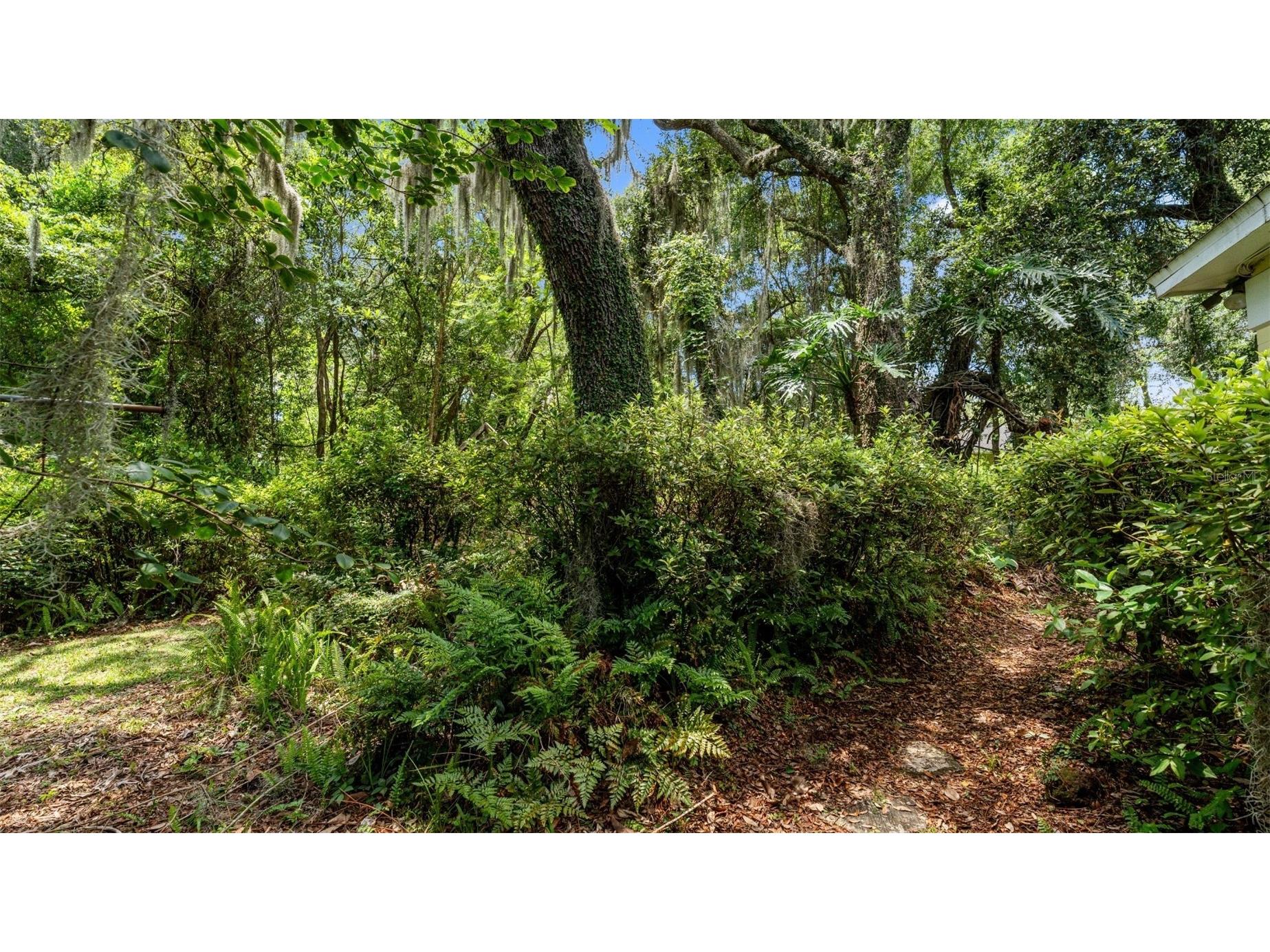 1237 Cardinal Lane Deland FL 32720 GC541834 image67