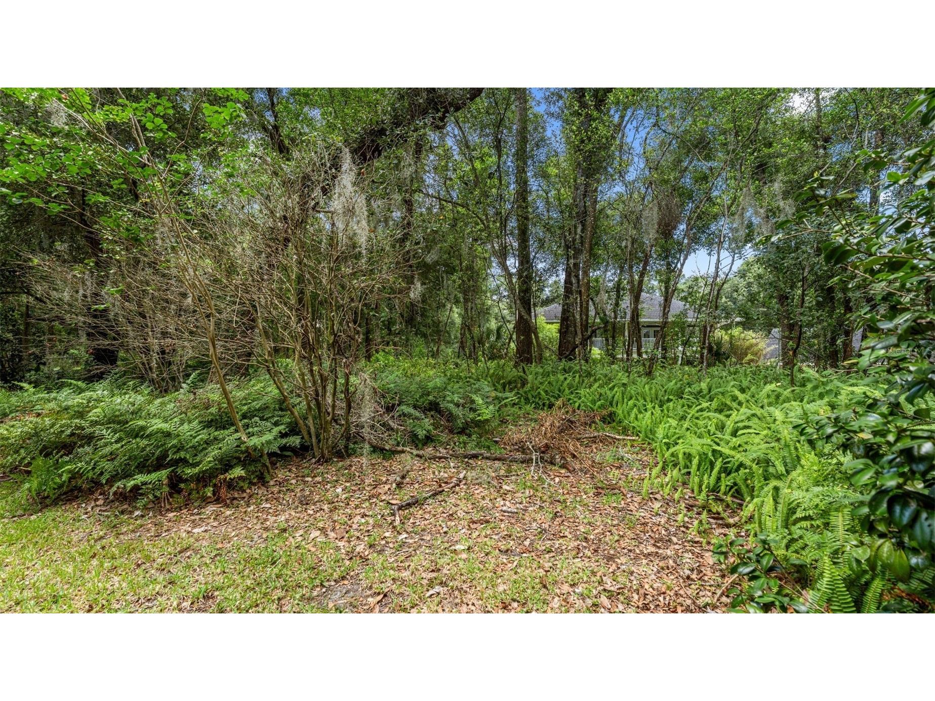 1237 Cardinal Lane Deland FL 32720 GC541834 image76