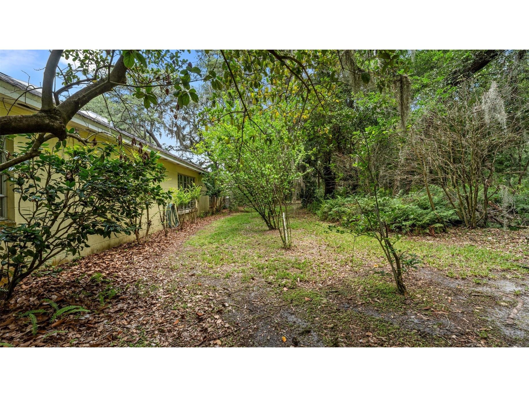 1237 Cardinal Lane Deland FL 32720 GC541834 image77