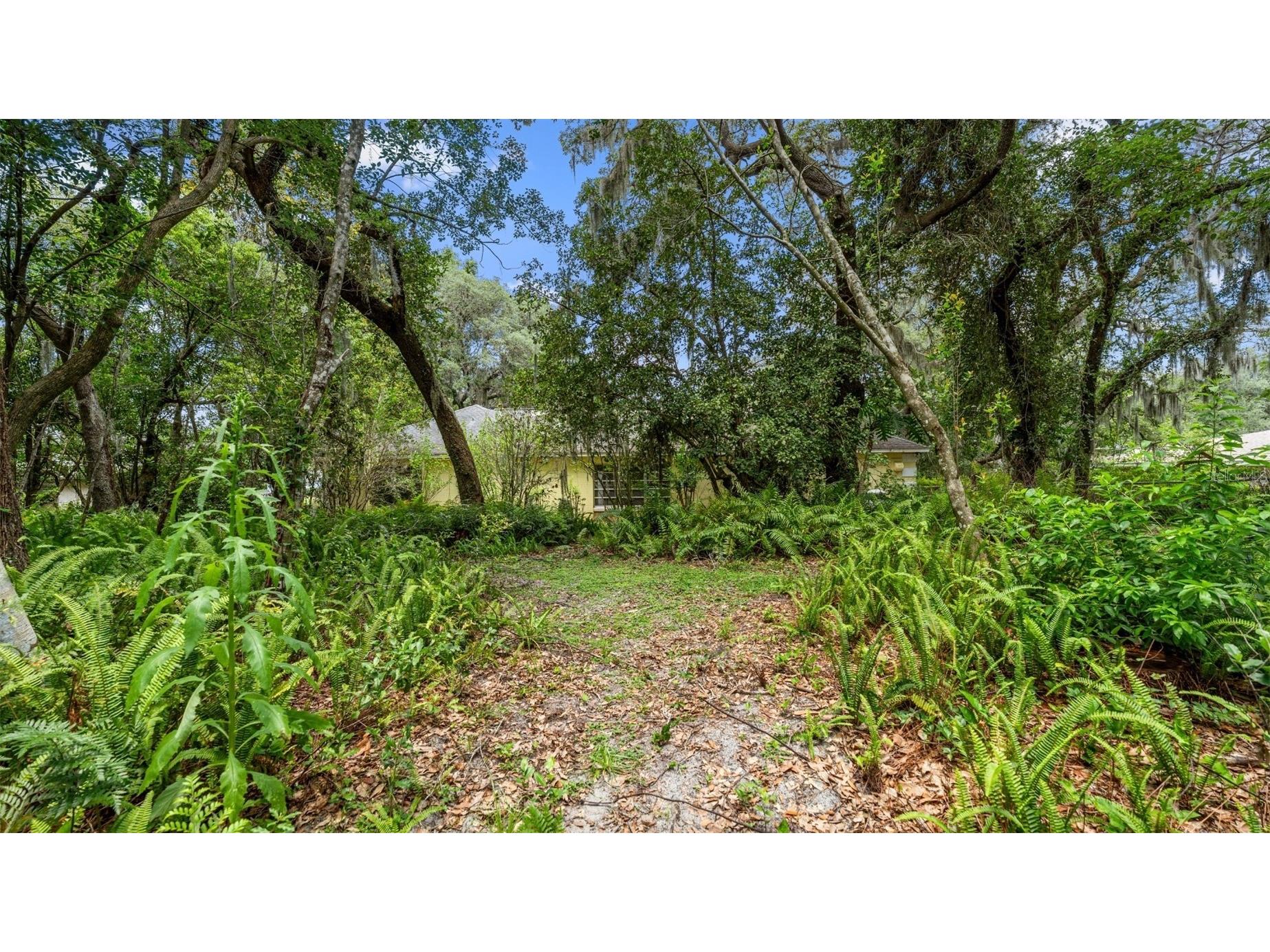 1237 Cardinal Lane Deland FL 32720 GC541834 image79