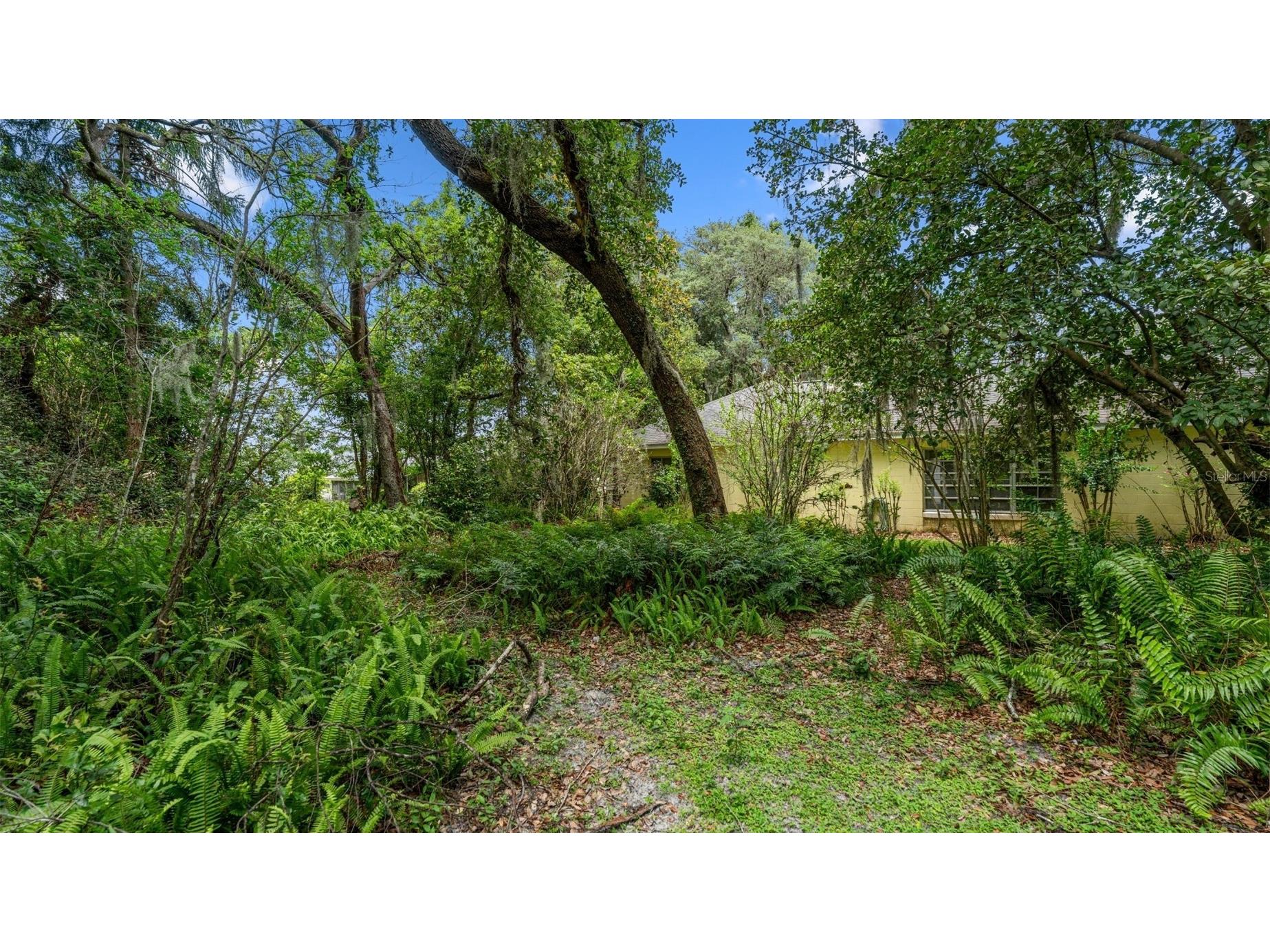 1237 Cardinal Lane Deland FL 32720 GC541834 image80