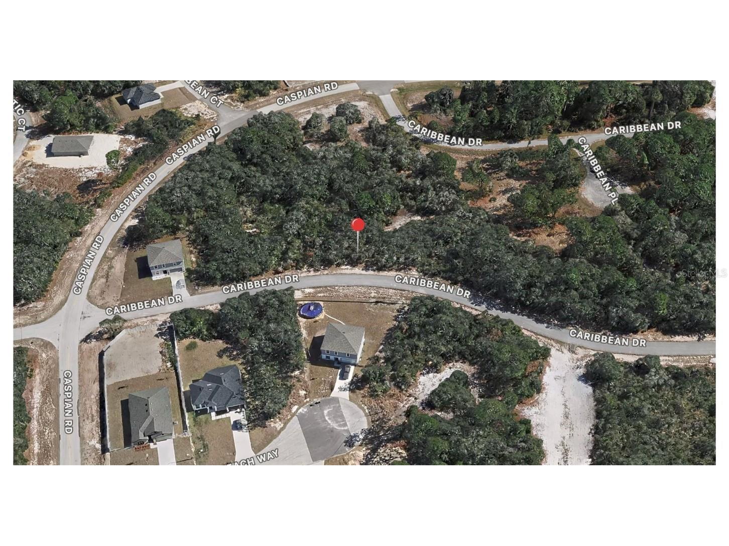 1237 Caribbean Drive Kissimmee FL 34759 OM713805 image2