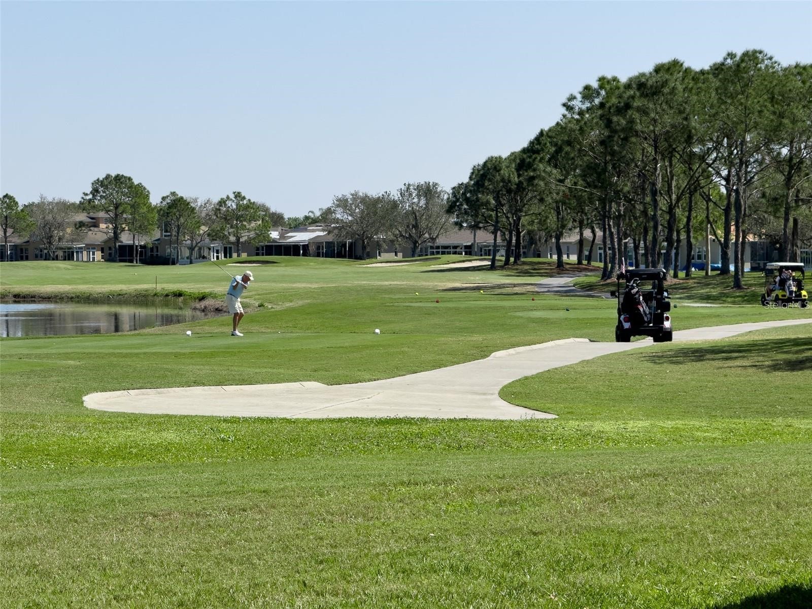 1237 Corinth Greens Drive #40 Sun City Center FL 33573 TB8512120 image50