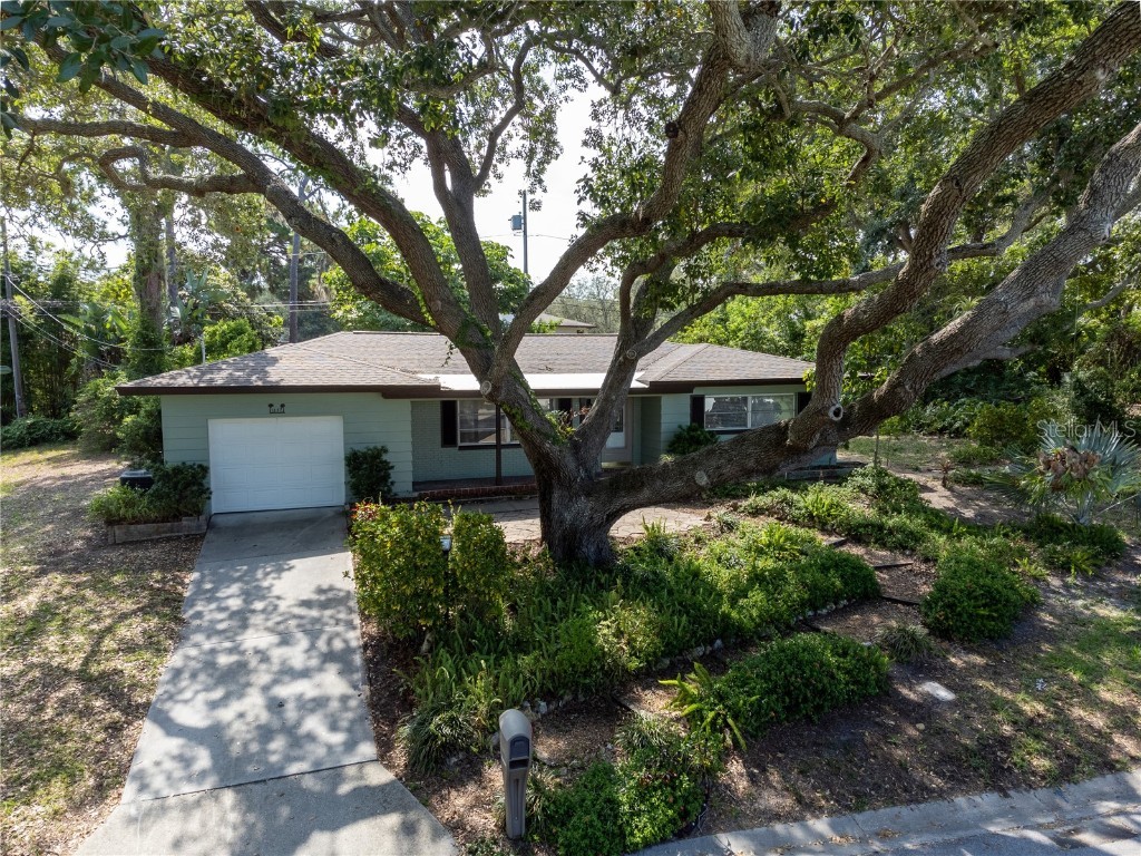 1237 Holiday Drive Tarpon Springs FL 34689 U8206239 image1