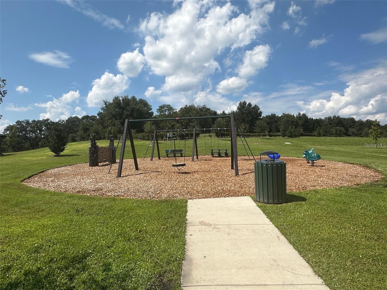 1237 Limbali Street Mount Dora FL 32757 S5151756 image14