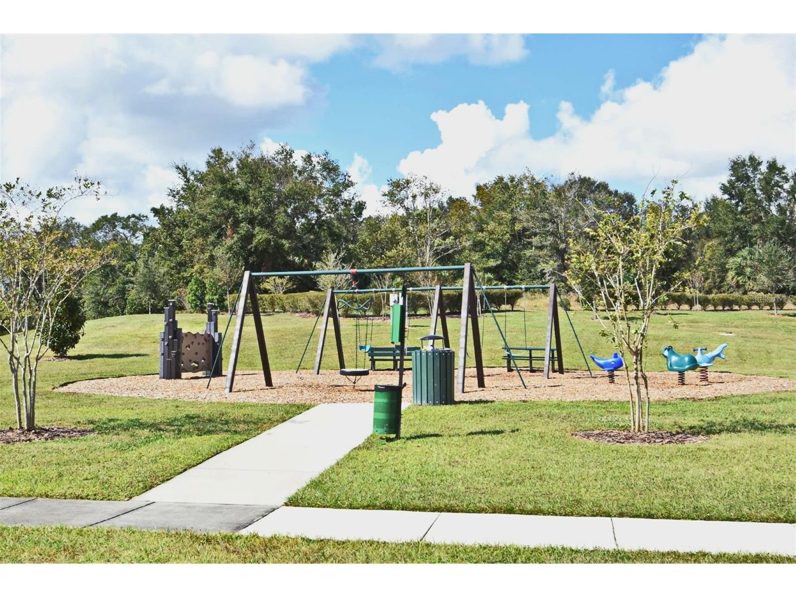 1237 Limbali Street Mount Dora FL 32757 S5151756 image15