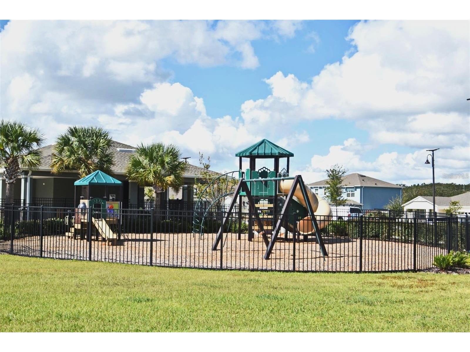 1237 Limbali Street Mount Dora FL 32757 S5151756 image16