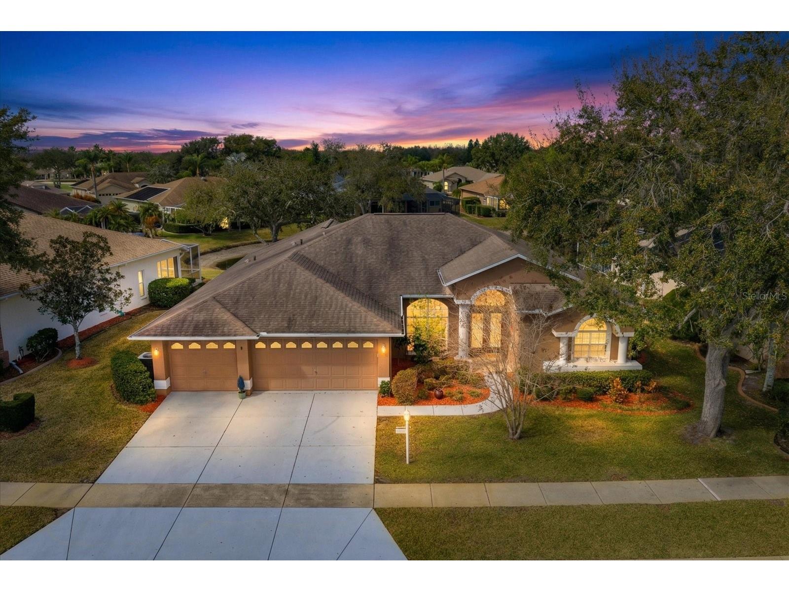 1237 Rambling Vine Court Trinity FL 34655 TB8466679 image1