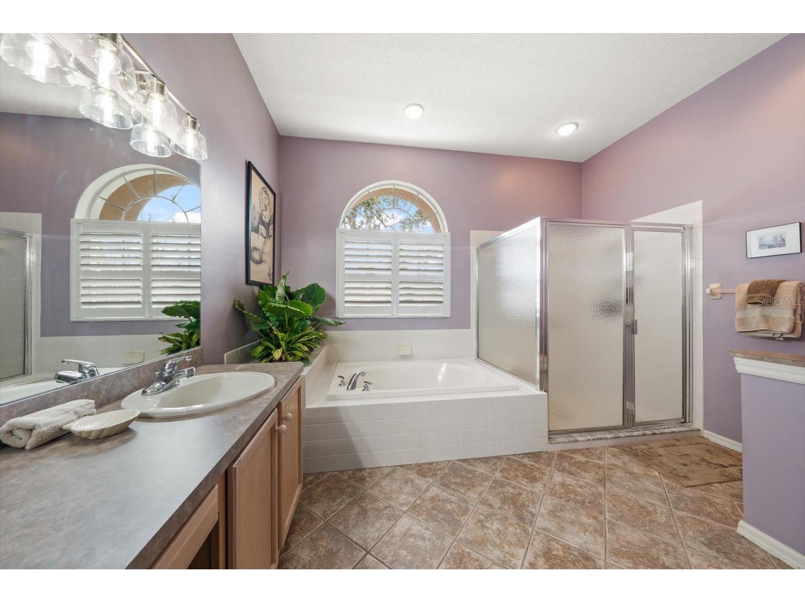 1237 Rambling Vine Court Trinity FL 34655 TB8466679 image11