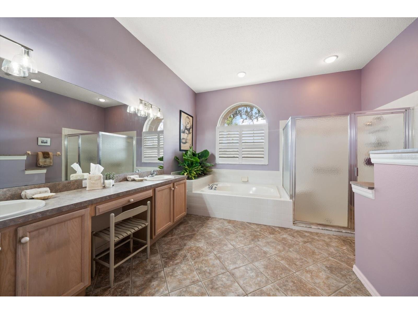 1237 Rambling Vine Court Trinity FL 34655 TB8466679 image12