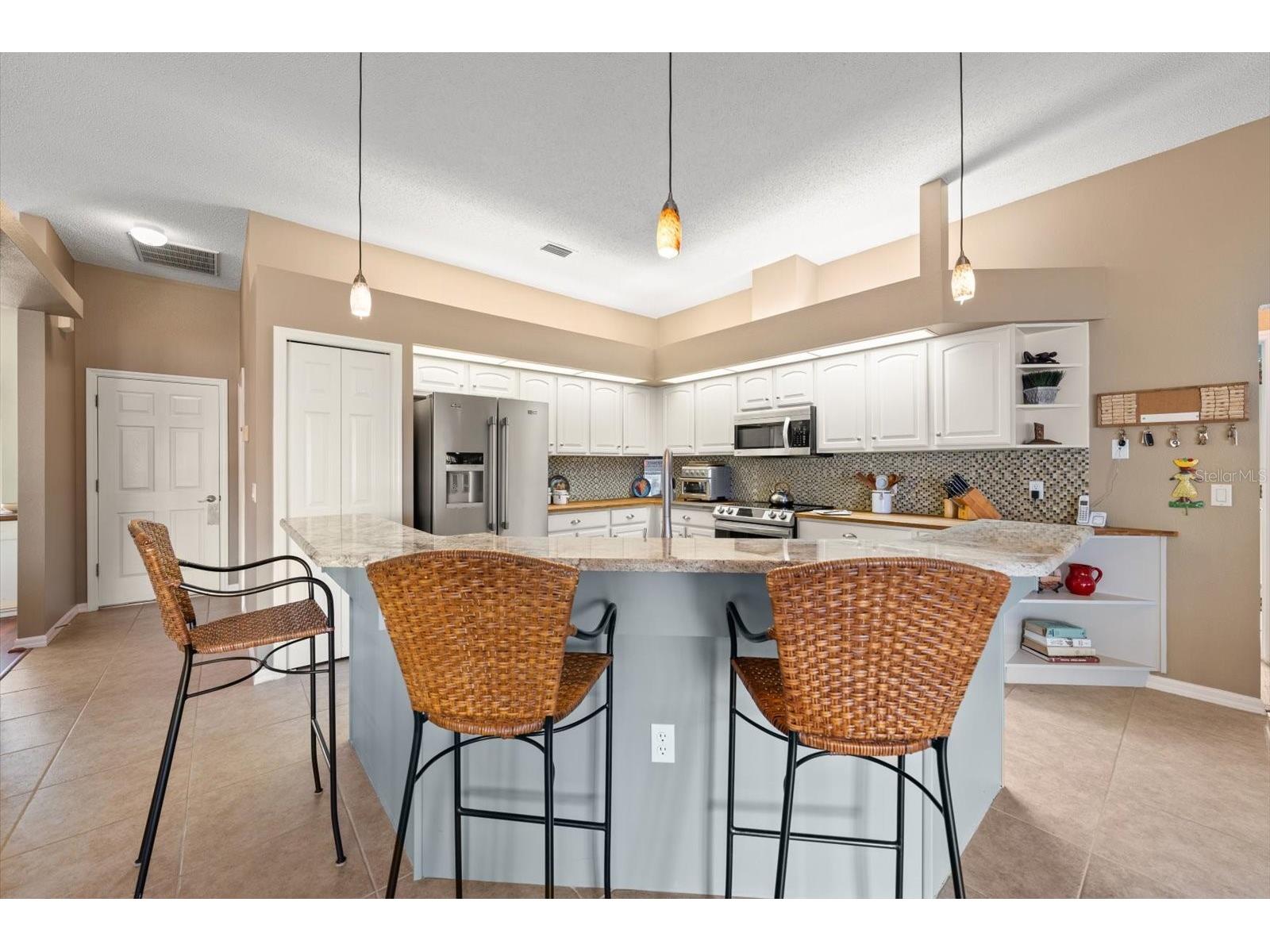 1237 Rambling Vine Court Trinity FL 34655 TB8466679 image16