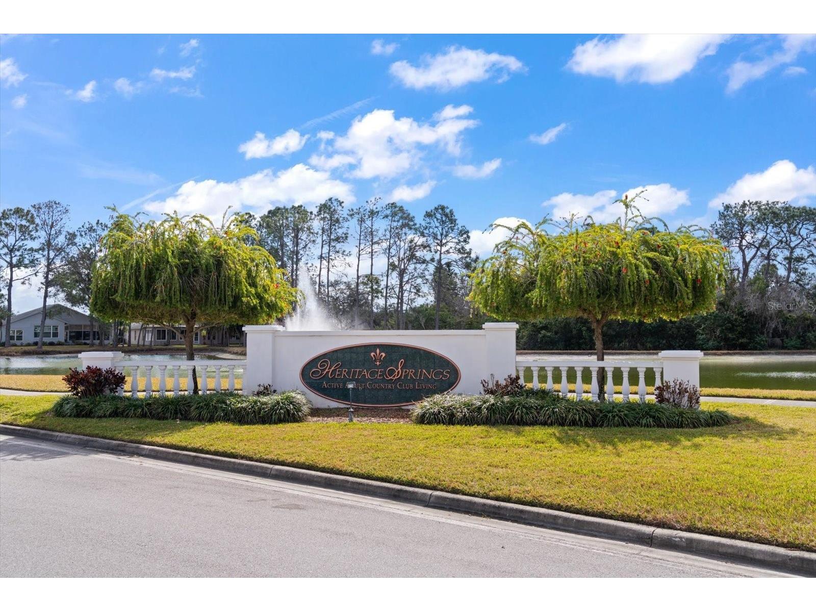 1237 Rambling Vine Court Trinity FL 34655 TB8466679 image2