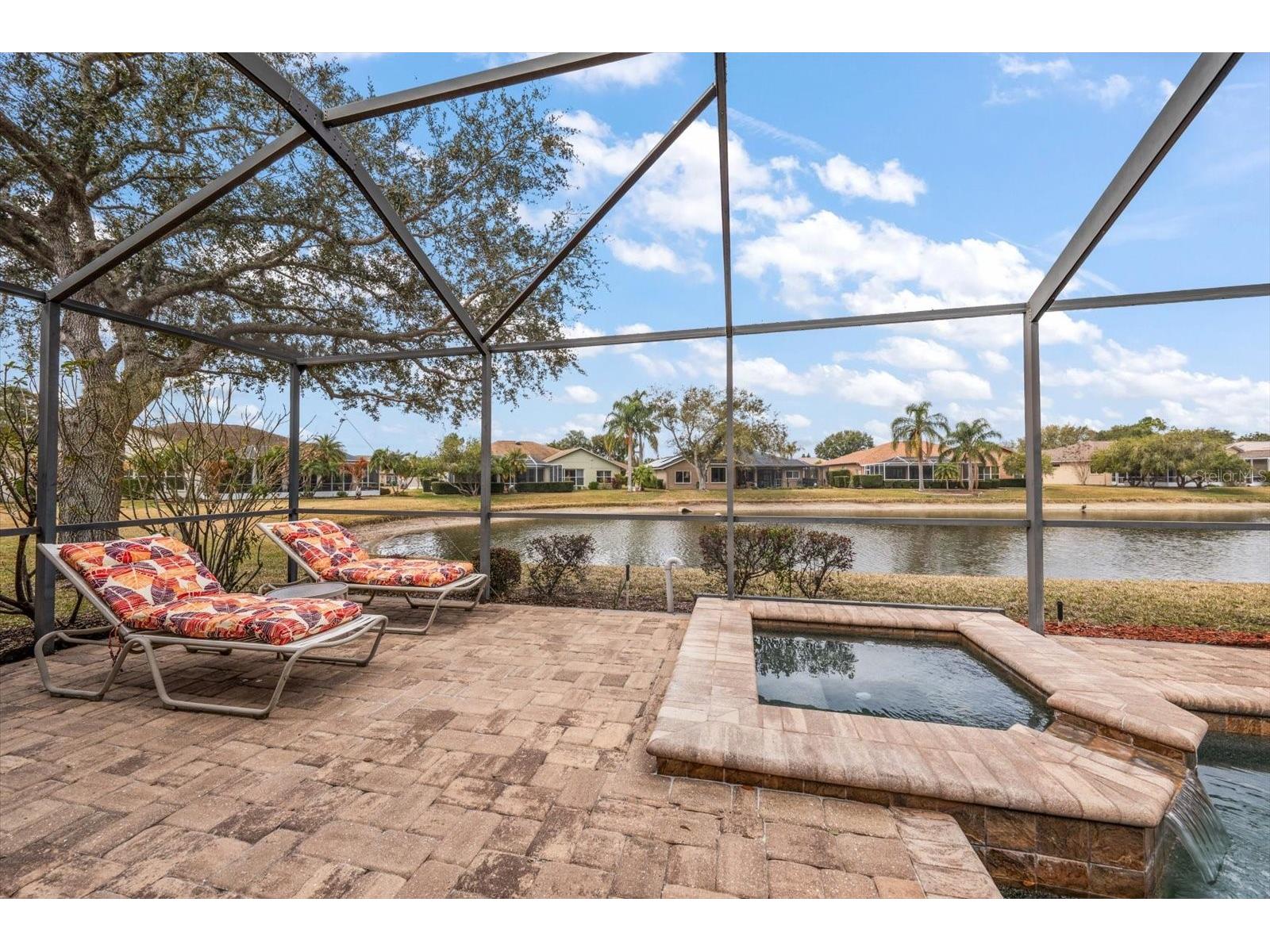 1237 Rambling Vine Court Trinity FL 34655 TB8466679 image26