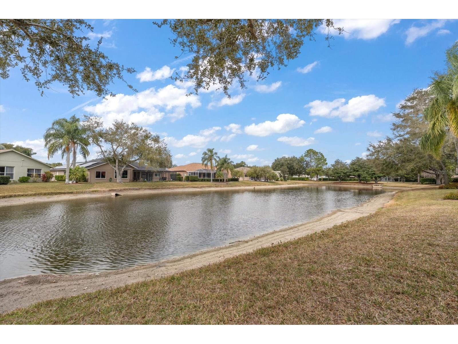 1237 Rambling Vine Court Trinity FL 34655 TB8466679 image38