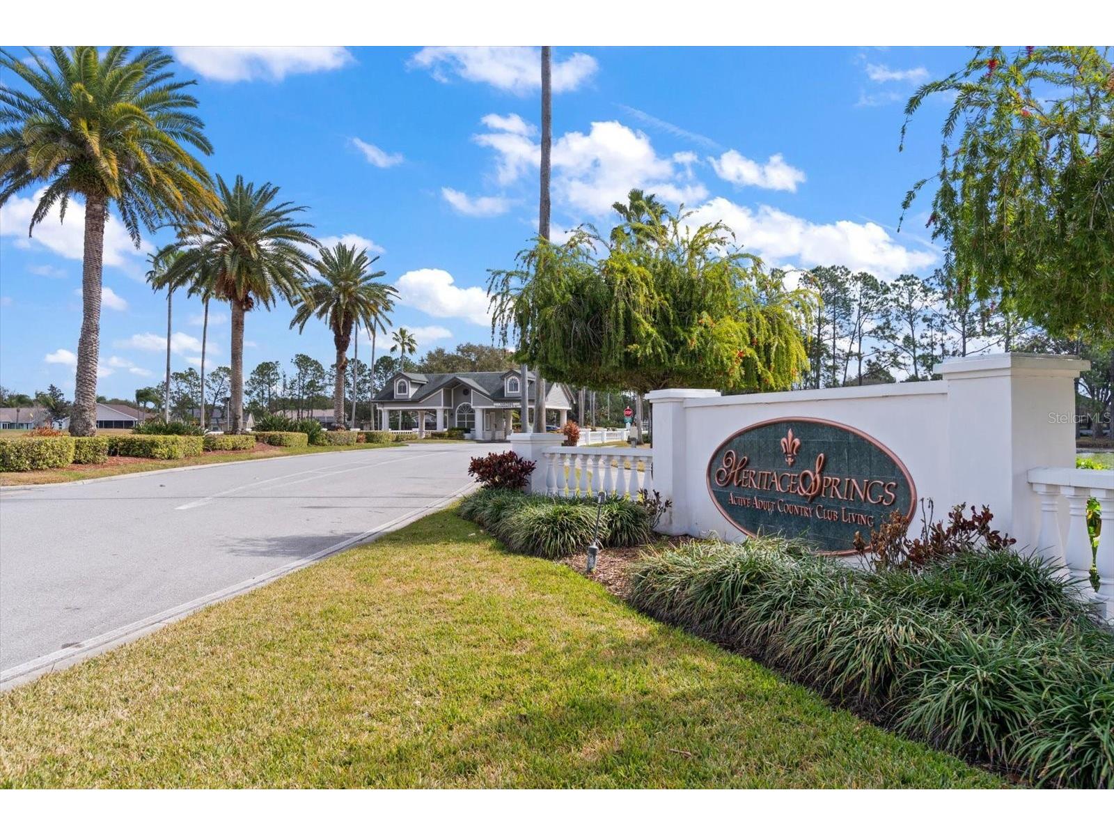 1237 Rambling Vine Court Trinity FL 34655 TB8466679 image40