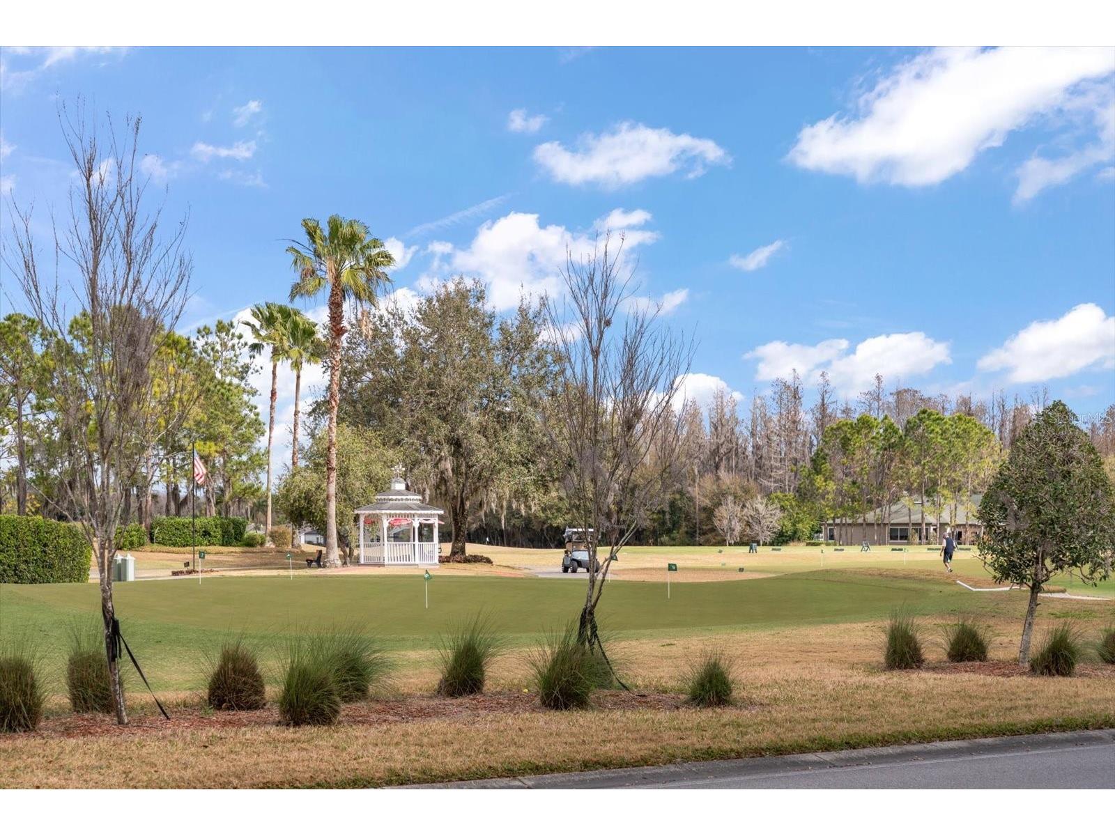 1237 Rambling Vine Court Trinity FL 34655 TB8466679 image45