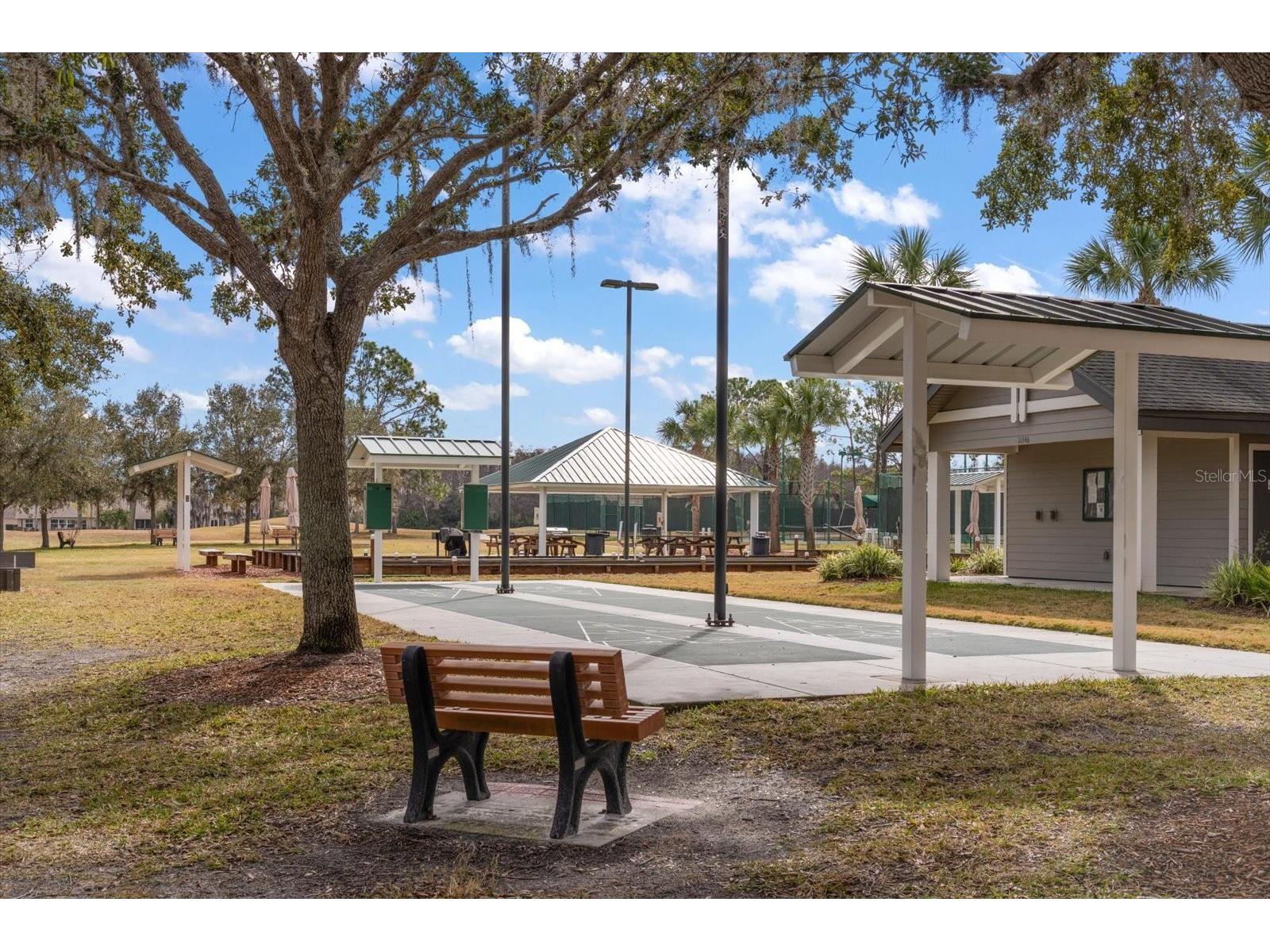 1237 Rambling Vine Court Trinity FL 34655 TB8466679 image46