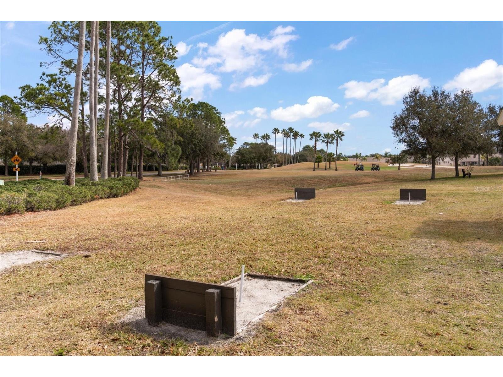 1237 Rambling Vine Court Trinity FL 34655 TB8466679 image47