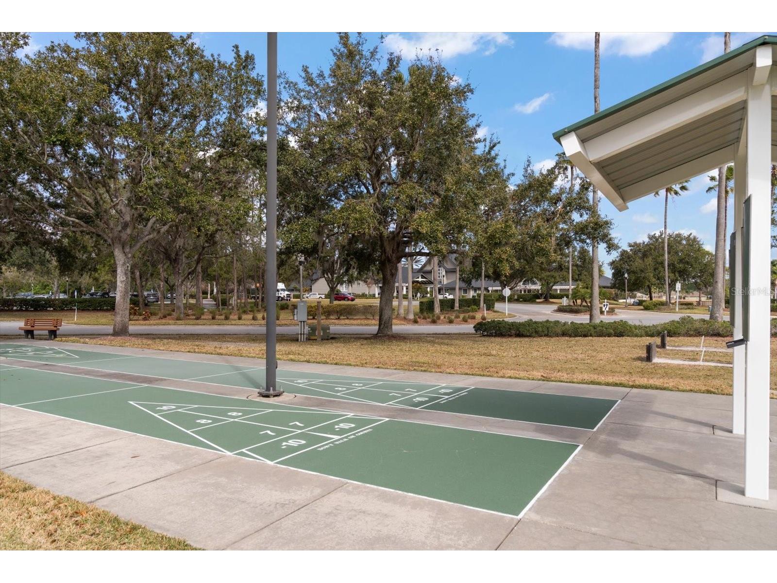 1237 Rambling Vine Court Trinity FL 34655 TB8466679 image49