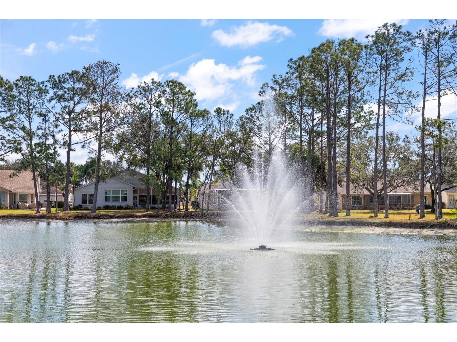 1237 Rambling Vine Court Trinity FL 34655 TB8466679 image51