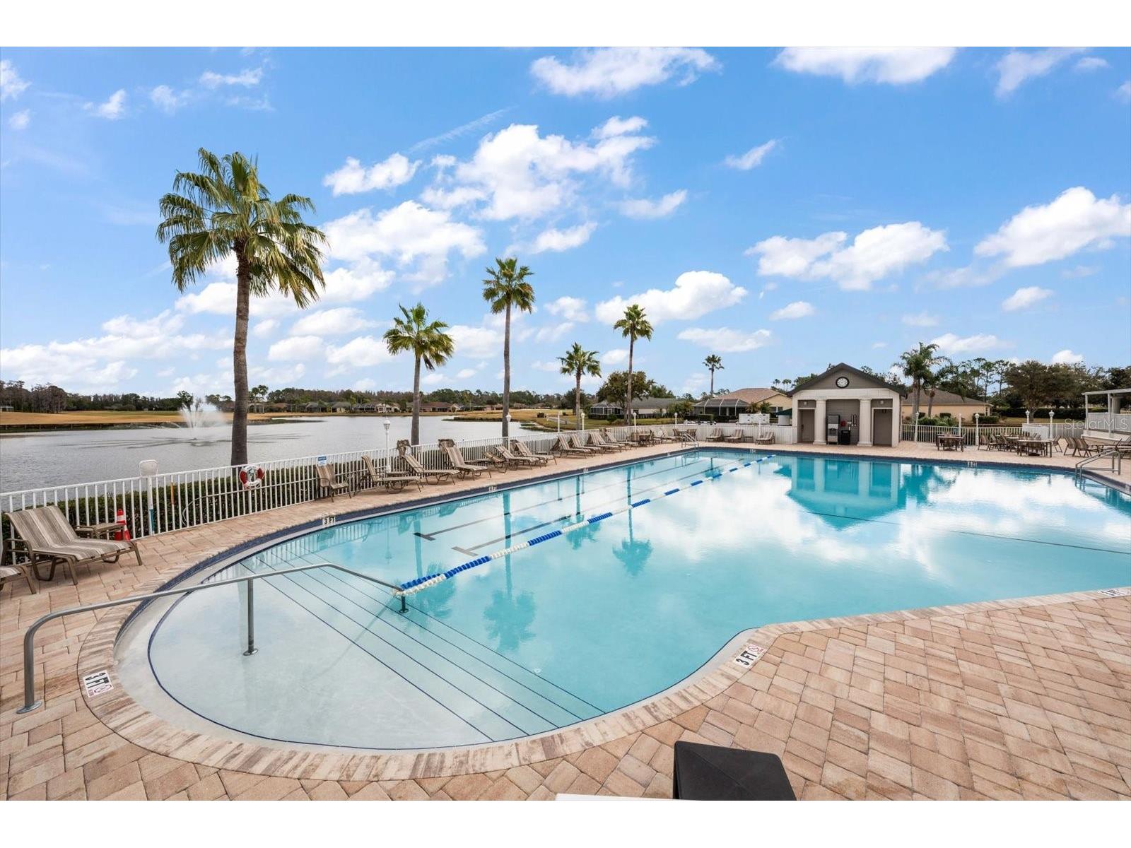 1237 Rambling Vine Court Trinity FL 34655 TB8466679 image56