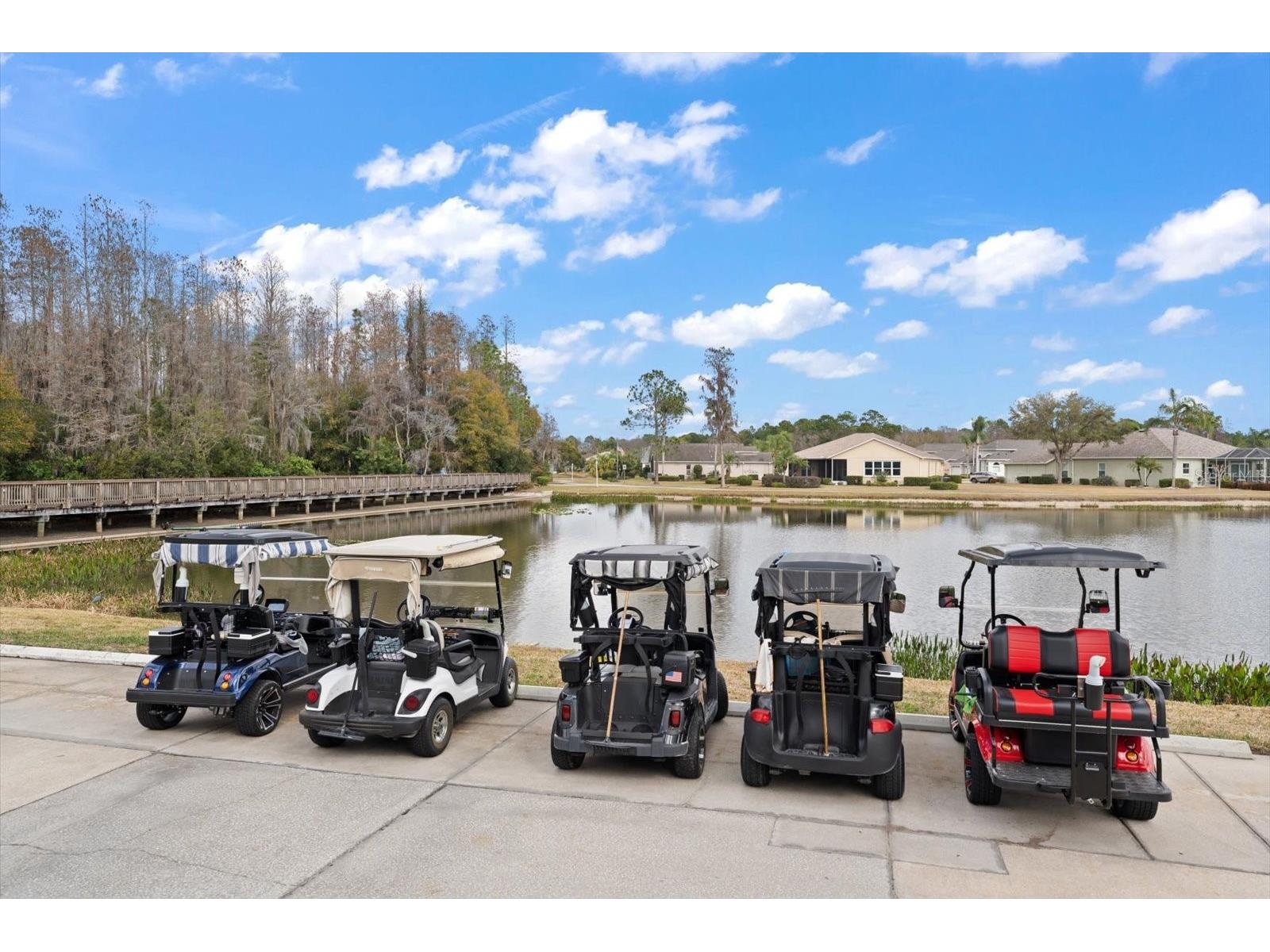 1237 Rambling Vine Court Trinity FL 34655 TB8466679 image59