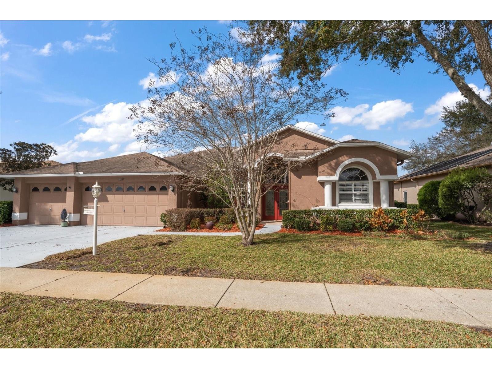 1237 Rambling Vine Court Trinity FL 34655 TB8466679 image6
